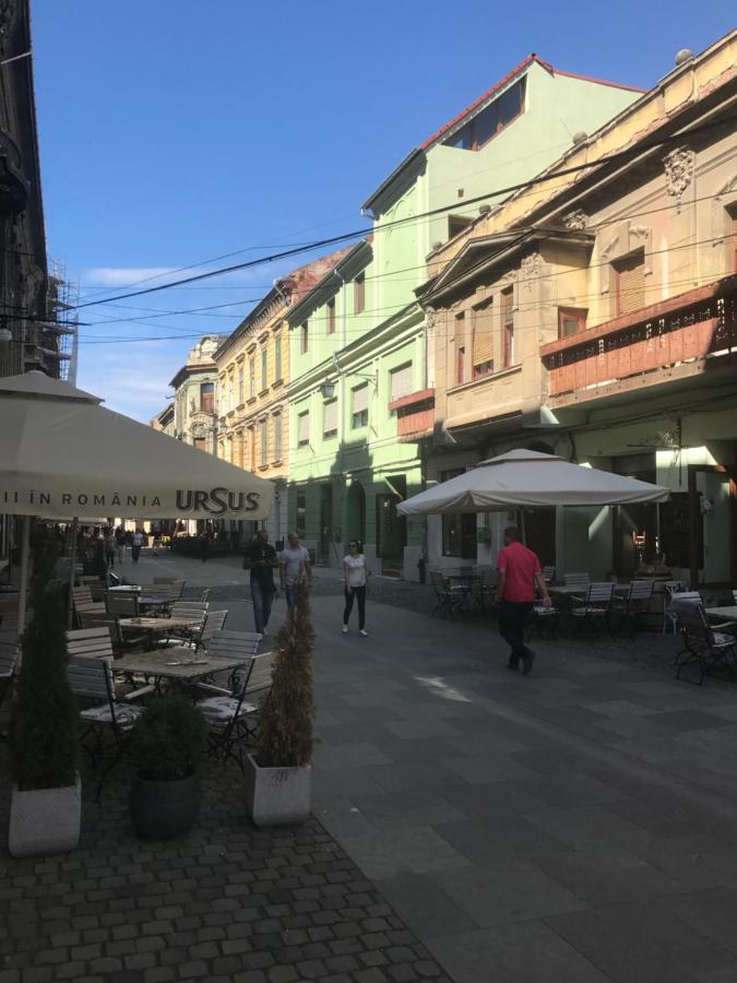 Savoya Nr3 Studio Old City Center Self Check-In Timișoara Zewnętrze zdjęcie