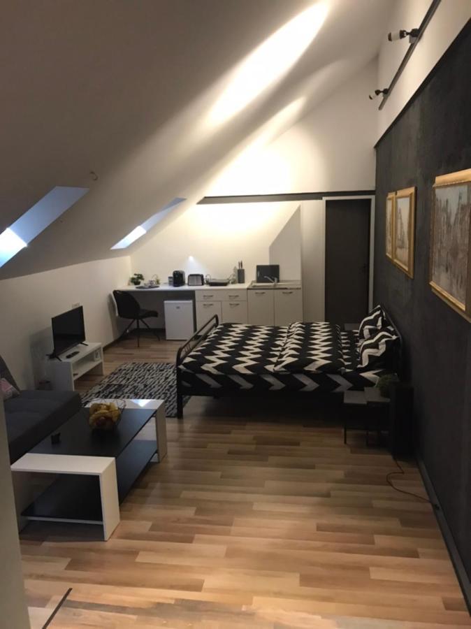Savoya Nr3 Studio Old City Center Self Check-In Timișoara Zewnętrze zdjęcie