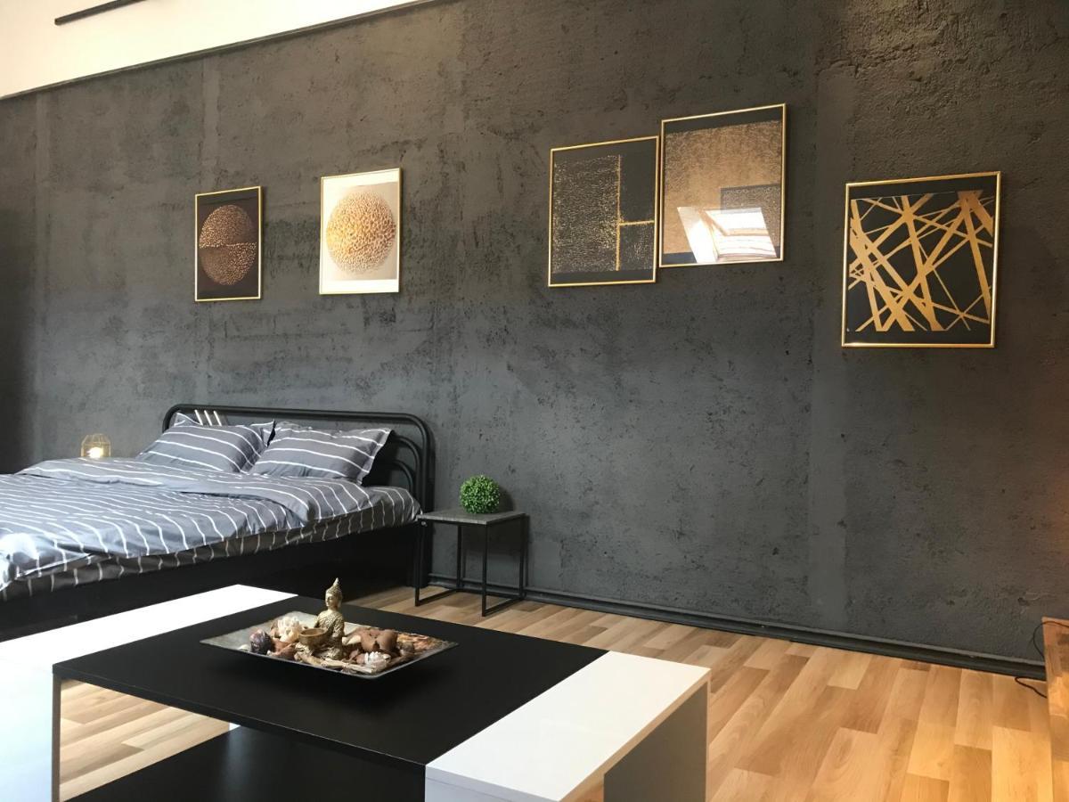 Savoya Nr3 Studio Old City Center Self Check-In Timișoara Zewnętrze zdjęcie