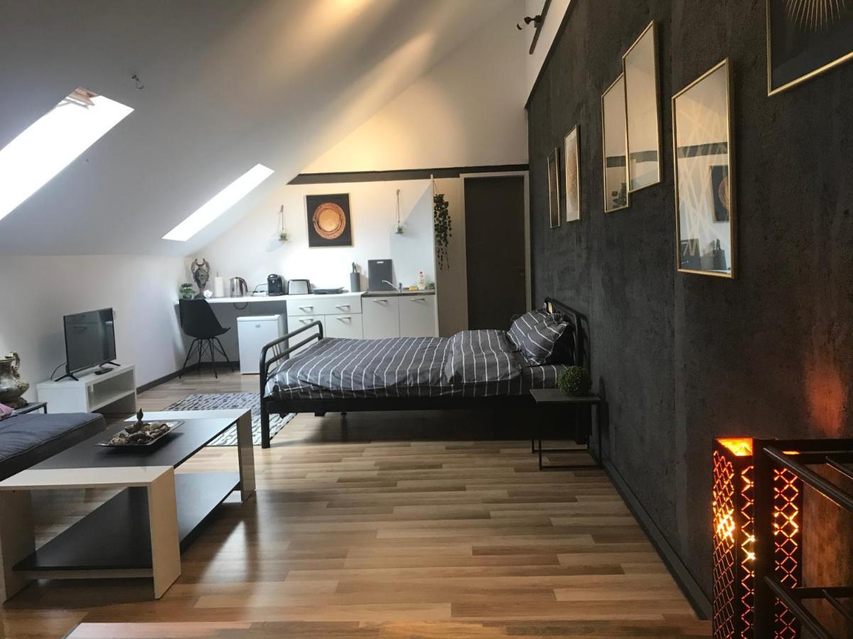 Savoya Nr3 Studio Old City Center Self Check-In Timișoara Zewnętrze zdjęcie