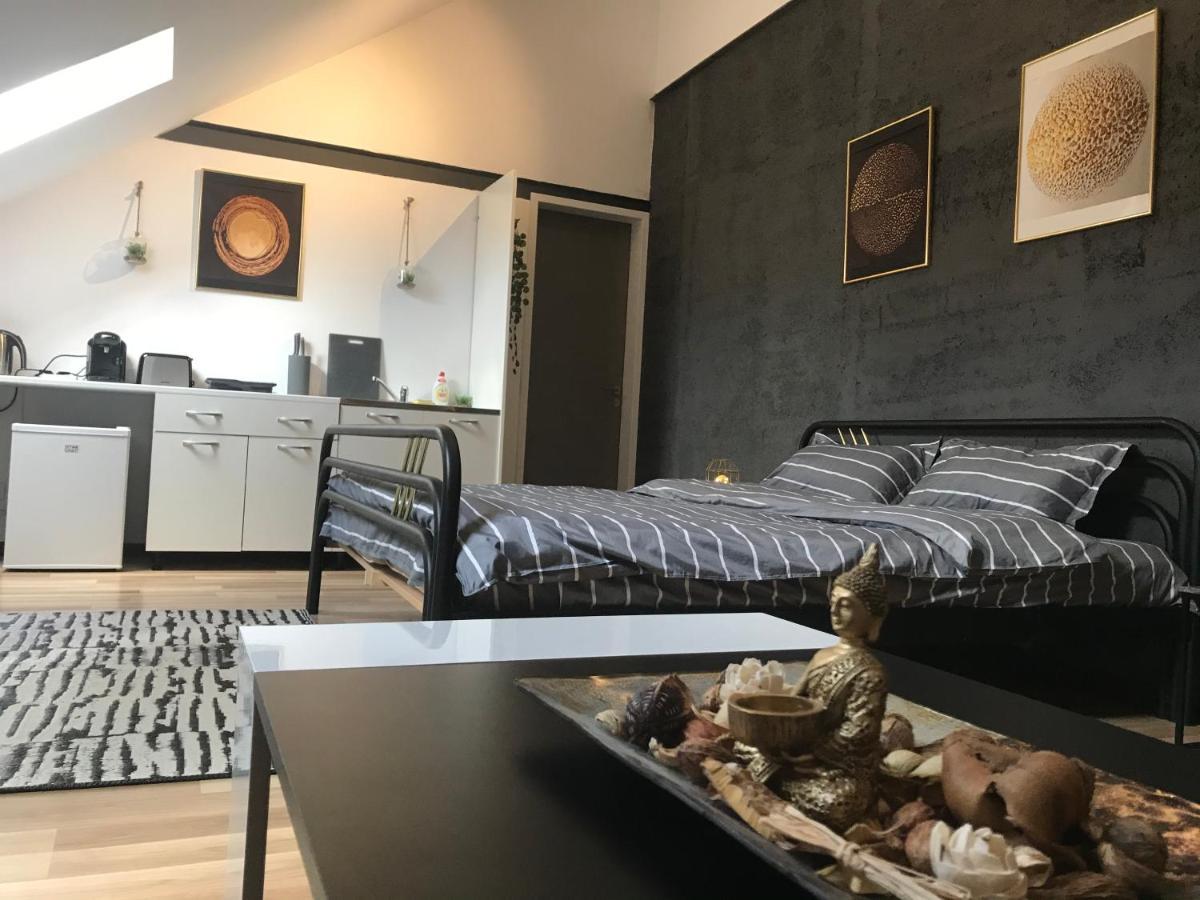 Savoya Nr3 Studio Old City Center Self Check-In Timișoara Zewnętrze zdjęcie