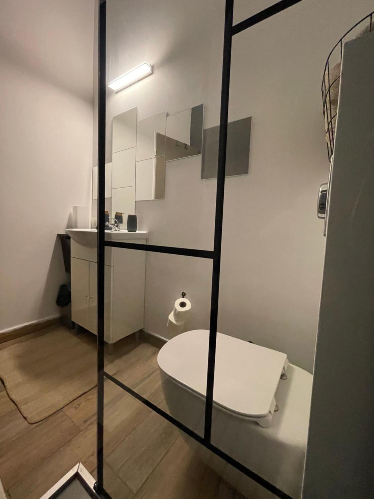 Savoya Nr3 Studio Old City Center Self Check-In Timișoara Zewnętrze zdjęcie